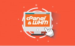 cPanel 1 Account